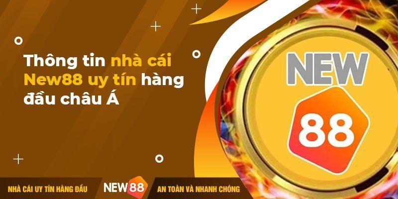 Thông tin nhà cái New88
